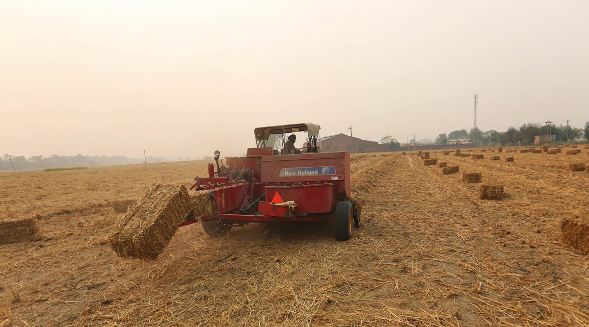 Sangrur