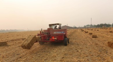 Sangrur