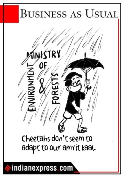 cartoon