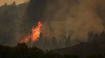 Trees catch fire during the Eagle Bluff wildfire after it crossed the Canada-U.S. border from the state of Washington and prompted evacuation orders, in Osoyoos, British Columbia, Canada July 30, 2023. REUTERS/Jesse Winter/File Photo