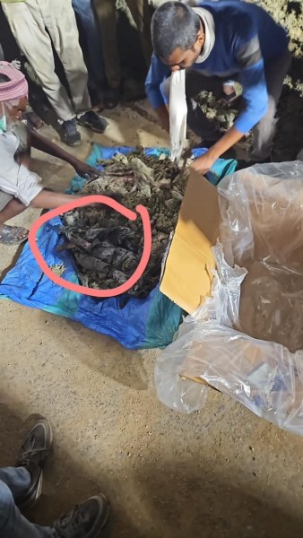 "We will collect DNA samples from the skeleton and DNA samples of her mother and siblings. These samples will be sent for DNA analysis to the forensic lab to ascertain if the skeletal remains belong to the victim," said Superintendent of Korba district, IPS Uday Kiran. 