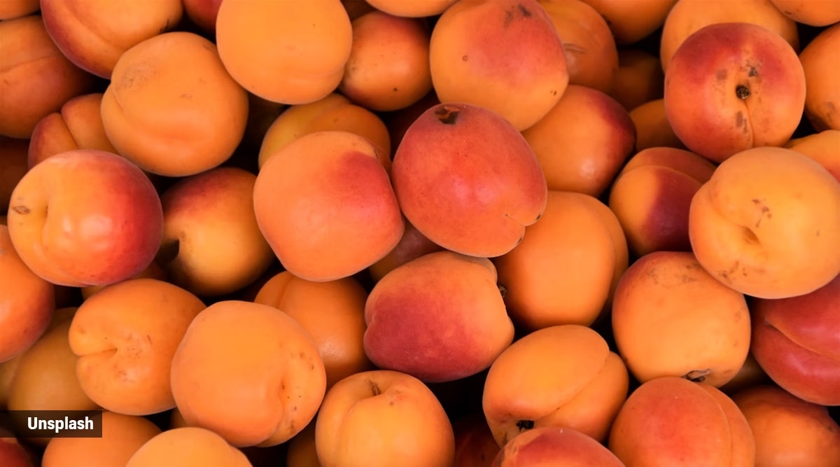 apricots