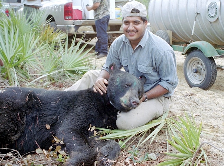 Dr Arjun Gopalaswamy with a black bear collared in Florida 
