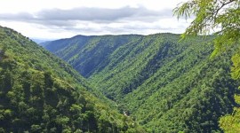 bandipur tiger reserve, indian express
