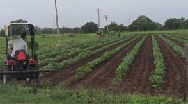 blobhttpsweb.whatsapp.com32cbc92e-fb91-4195-a792-031ce71c1c08 Overall sowing in Gujarat stands at 74.63 lh, which is around 87 per cent of the normal sowing area.