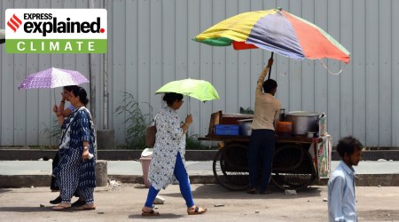 Summer and heat wave in Delhi NCR, on Monday, earlier in the summer of 2023.