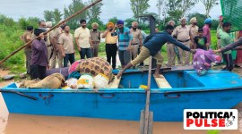punjab floods, punjab