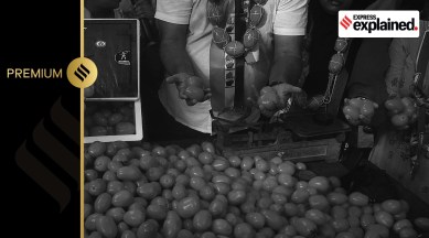 The Sion Koliwada Congress committee protested against the rising prices of vegetables, tomatoes, pulses, gas, petrol and diesel and the central government at MGR Chowk in Mumbai in July this year.