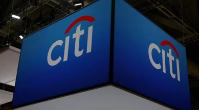 Citi group's Institutional Clients Group which provides financial services to institutional investors and governments is one of the biggest divisions of the bank.