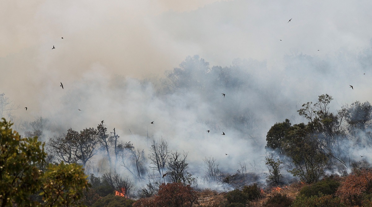 europe weather, greece wildfires, indian express