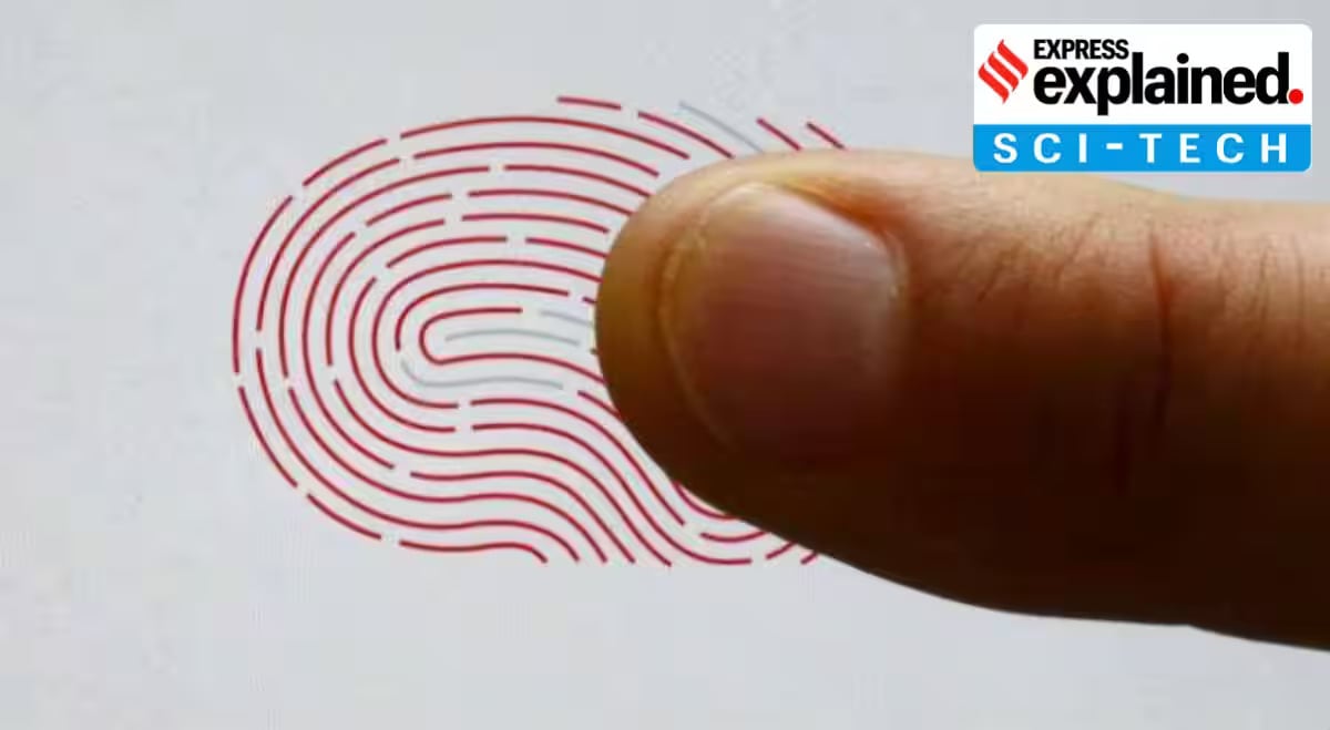fingerprint