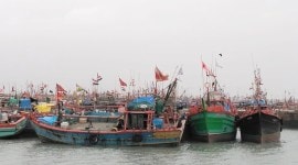 fishing-boats Fishing boats anchored in Okha harbour, in Devbhumi Dwarka district on Thursday.