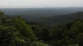 karnataka forest diverted