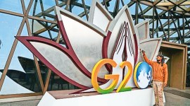 stray dogs, delhi stray dogs, removing delhi stray dogs, delhi G20 venues, Delhi news, New Delhi, Indian Express, current affairs