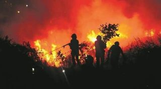 goa forest fires