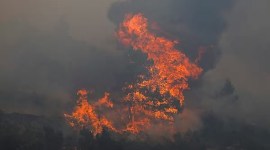 greek fires, heatwaves, europe, indian express