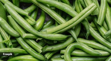 Green beans are also known as French beans or Fasol ki paali in India.  (Source: Freepik)