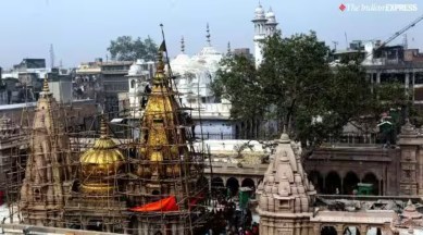 The Allahabad High Court Thursday dismissed the mosque committee's challenge to the Archaeological Survey of India (ASI) survey of the Gyanvapi mosque complex in Varanasi.
