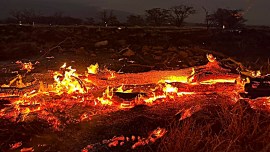 hawaii fires, indian express