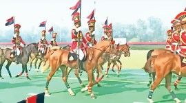 horses-3col Officials said that the horses will also be deployed close to forest areas, where foot patrolling is not possible. Express