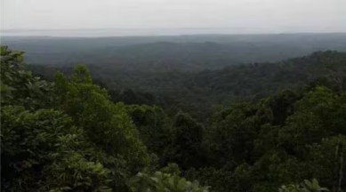 karnataka forest