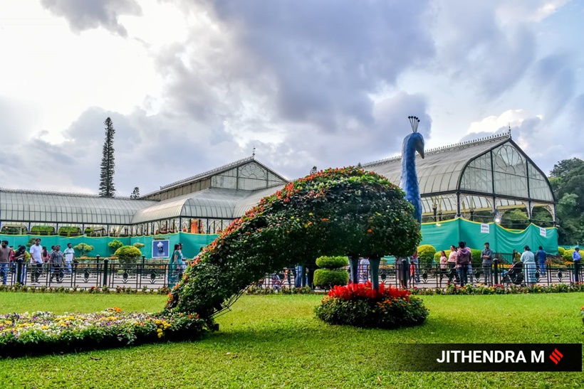 Bengaluru: 76th Independence Day flower show #Gallery