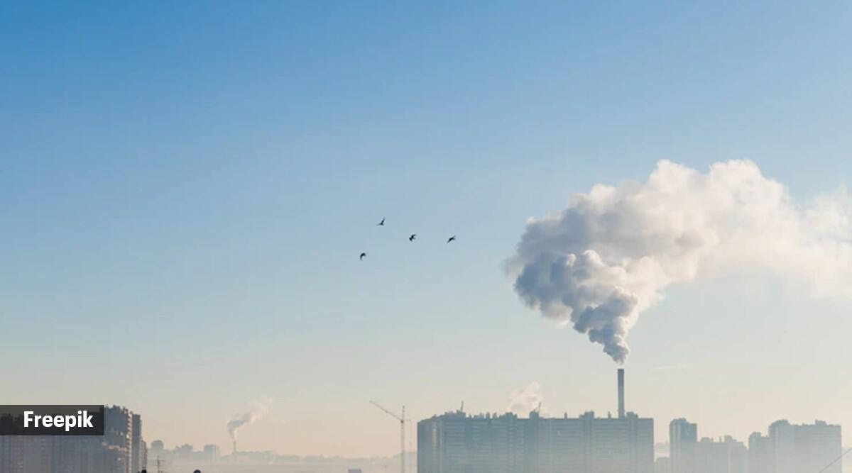 Lead How and why lead is harmful to health? Health News The Indian