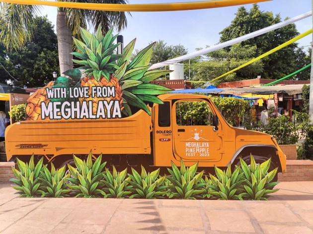 meghalaya pineapple festival