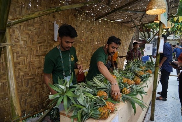 meghalaya pineapple festival