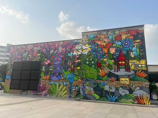 G20 preparations, artistic makeover of Delhi, G20 Summit, beautification of Delhi, delhi mega event, street artists, delhi street, delhi walls, indian express news