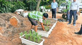 New Delhi Municipal Council (NDMC), G20, G20 meet, G20 Summit, NDMC, delhi news, India news, Indian express, Indian express India news, Indian express India