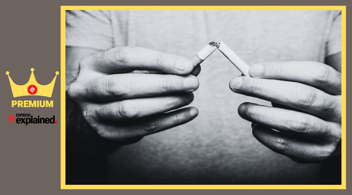 tobacco stocks in india Indian Tobacco Stocks Slide After Government Imposes Higher Cigarette  Excise Duty