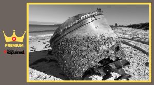 debris on a beach.