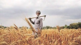 punjab farmer power rationalisation