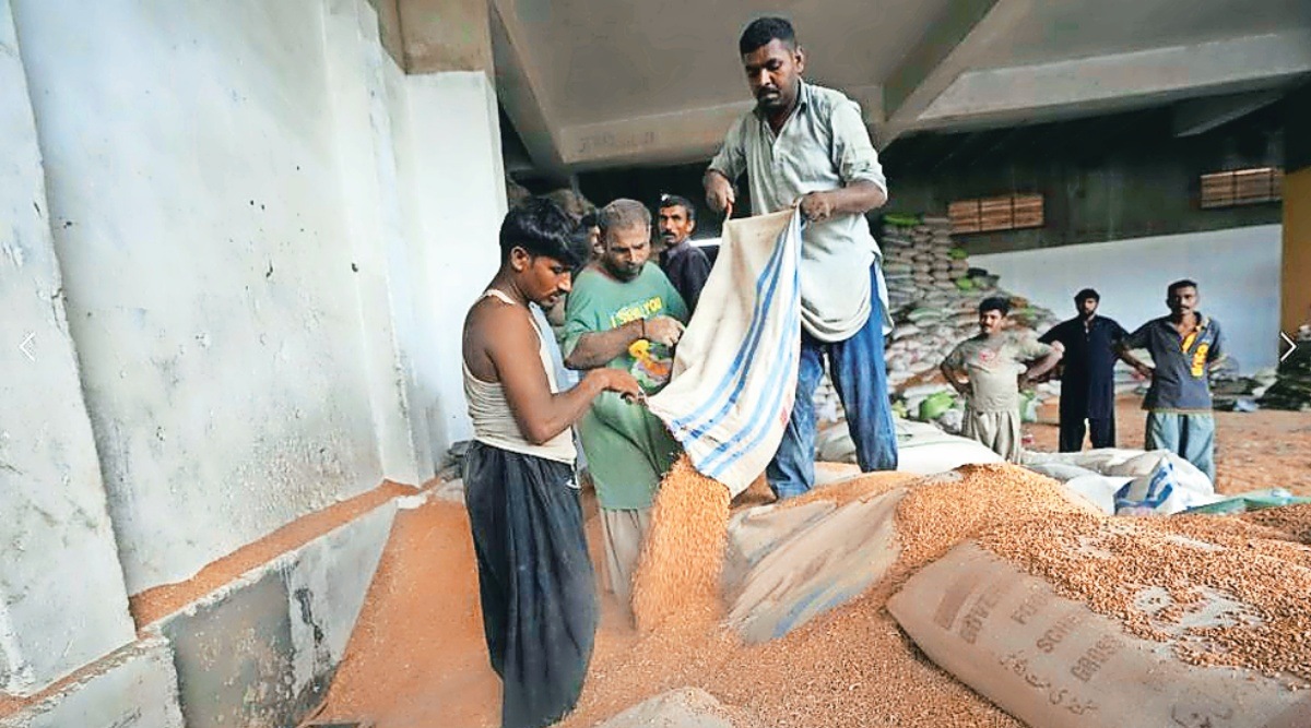 India’s export ban pushes global rice prices to nearly 12year high