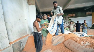 RICE priceS, rice production, rice exports, United Nations’ Food and Agriculture Organization’s All-Rice Price Index, Indian Express, India news, current affairs
