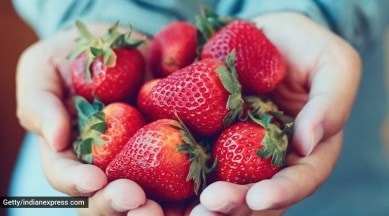 strawberries