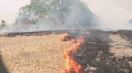 straw management machines, Stubble burning, punjab stubble burning incidents, 2023 Kharif season, action plan for the 2023 Kharif season, crop residue management machines, subsidy on straw management machines, indian express news