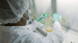 G20 presidency,health priorities, healthcare, Healthcare industry, vaccines, therapeutics, and diagnostics, India news, Indian express, Indian express India news, Indian express India