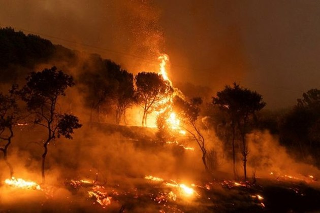 greece wildfires
