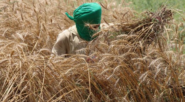 NGT forms joint committee to assess impact of sand mining on agricultural land