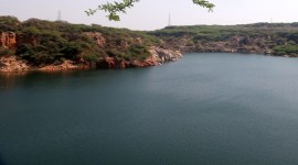 ASOLA delhi Neeli Jheel, biodiversity of the Asola Bhatti Wildlife Sanctuary, study on Asola Bhatti wildlife sanctuary, Wildlife Institute of India Dehradun, wildlife sanctuaries in India, delhi Sanctuary management plan, indian express news