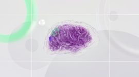 Artistic illustration of a human brain
