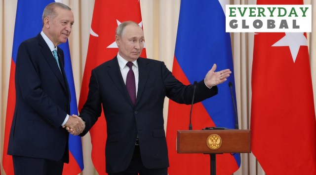 Erdogan and Putin discuss black sea grain deal.