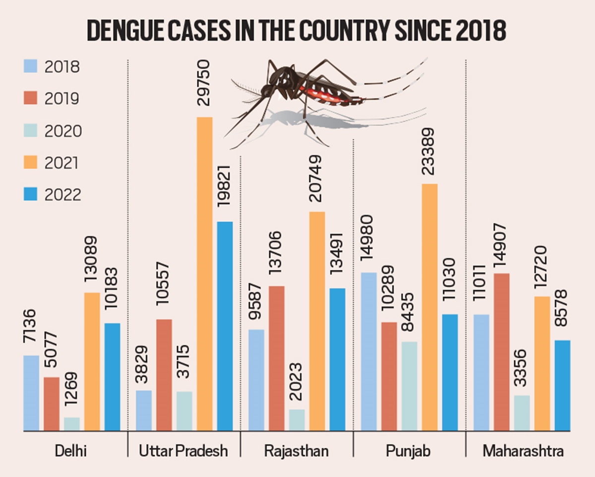 Mosquitoes & Climate Change: How Rising Temperatures Are Adding To The ...