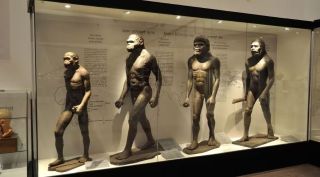 Image depicting human evolution