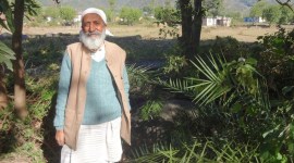 himachal chipko movement