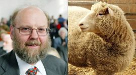 A picture of scientist Ian Wilmute next to one of Dolly the sheep.