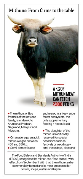 Northeast's mithun gets 'food animal' tag and its meat a leg-up | India  News - The Indian Express