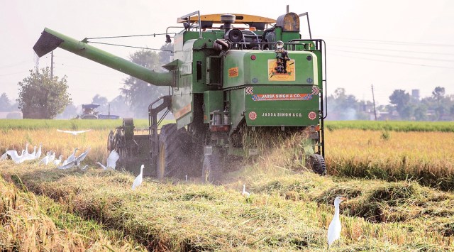 stubble burning management, Punjab stubble burning, stubble management machinery, experts on stubble burning, stubble burning penalties, indian express news